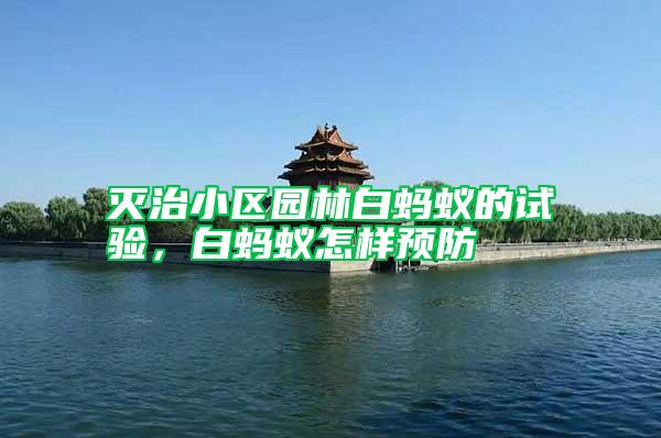 滅治小區(qū)園林白螞蟻的試驗(yàn)，白螞蟻怎樣預(yù)防
