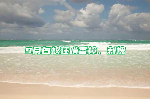 9月白蟻狂啃香樟、刺槐