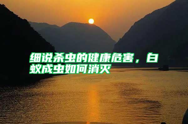 細說殺蟲的健康危害，白蟻成蟲如何消滅