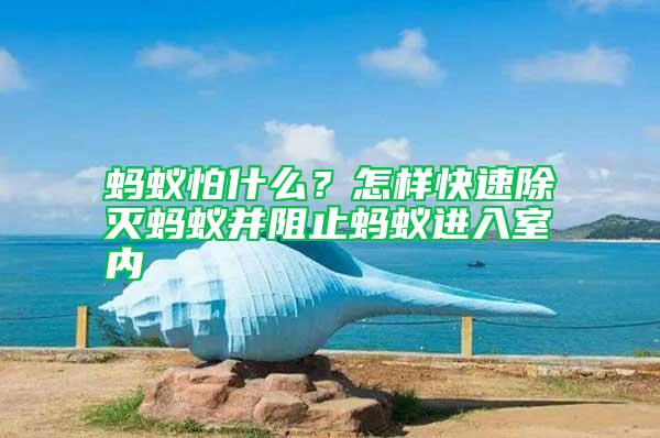 螞蟻怕什么？怎樣快速除滅螞蟻并阻止螞蟻進入室內(nèi)