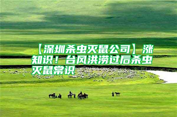【深圳殺蟲(chóng)滅鼠公司】漲知識(shí)！臺(tái)風(fēng)洪澇過(guò)后殺蟲(chóng)滅鼠常識(shí)