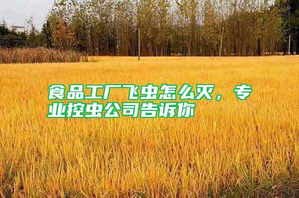 食品工廠飛蟲怎么滅，專業(yè)控蟲公司告訴你