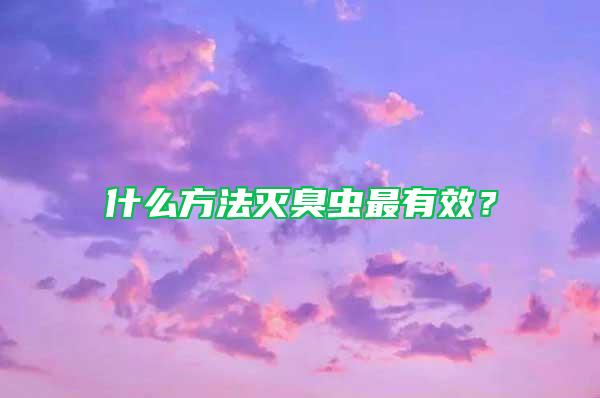 什么方法滅臭蟲最有效？