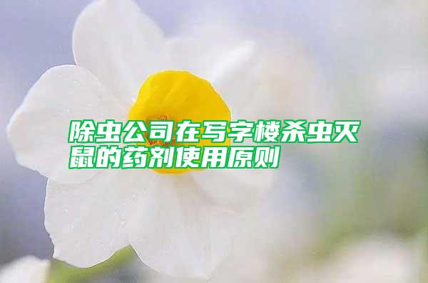 除蟲(chóng)公司在寫(xiě)字樓殺蟲(chóng)滅鼠的藥劑使用原則
