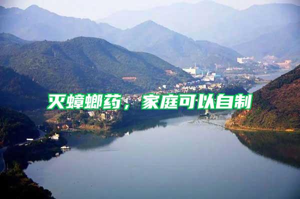 滅蟑螂藥，家庭可以自制