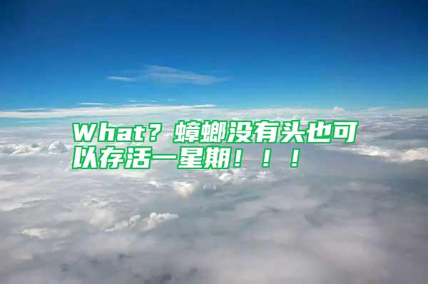 What？蟑螂沒有頭也可以存活一星期！?。?/></p>
             <p style=