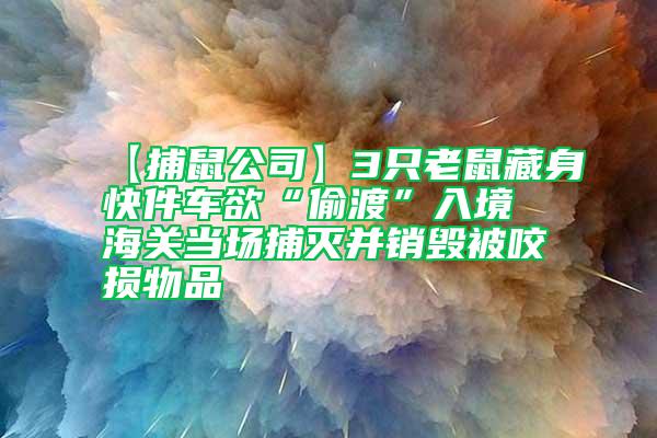 【捕鼠公司】3只老鼠藏身快件車欲“偷渡”入境 海關(guān)當(dāng)場捕滅并銷毀被咬損物品