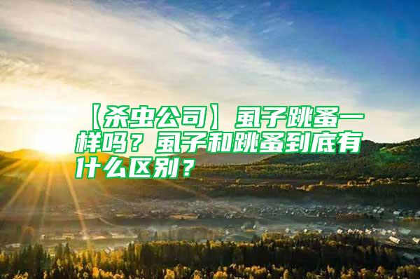 【殺蟲公司】虱子跳蚤一樣嗎？虱子和跳蚤到底有什么區別？