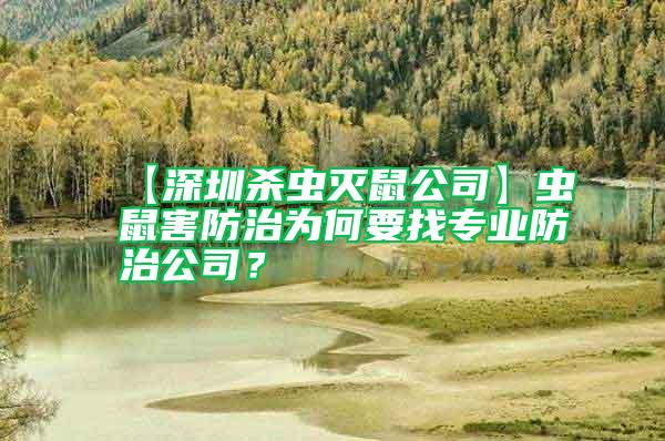 【深圳殺蟲滅鼠公司】蟲鼠害防治為何要找專業防治公司？