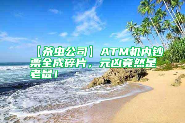 【殺蟲公司】ATM機(jī)內(nèi)鈔票全成碎片，元兇竟然是老鼠！