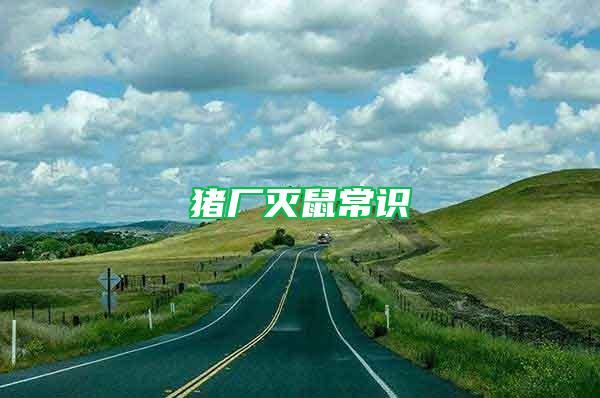 豬廠滅鼠常識(shí)