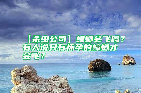 【殺蟲公司】蟑螂會飛嗎？有人說只有懷孕的蟑螂才會飛？