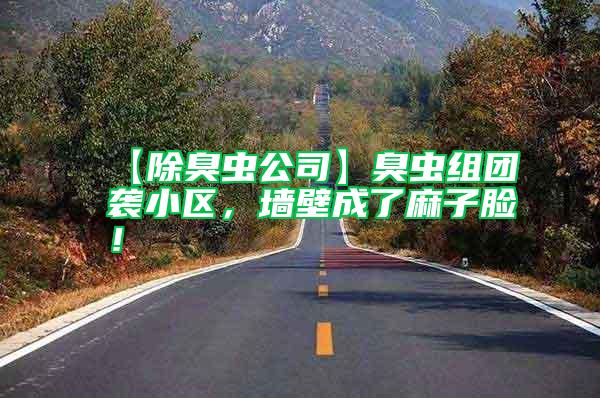 【除臭蟲公司】臭蟲組團(tuán)襲小區(qū)，墻壁成了麻子臉！