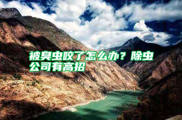 被臭蟲咬了怎么辦？除蟲公司有高招
