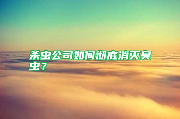 殺蟲公司如何徹底消滅臭蟲？