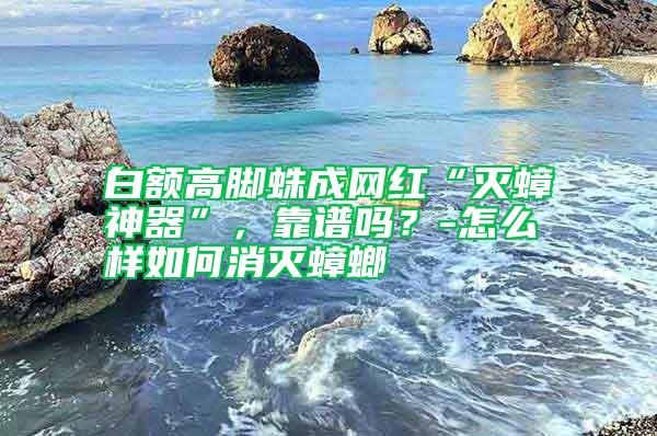 白額高腳蛛成網紅“滅蟑神器”，靠譜嗎？-怎么樣如何消滅蟑螂