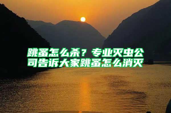 跳蚤怎么殺？專業(yè)滅蟲公司告訴大家跳蚤怎么消滅