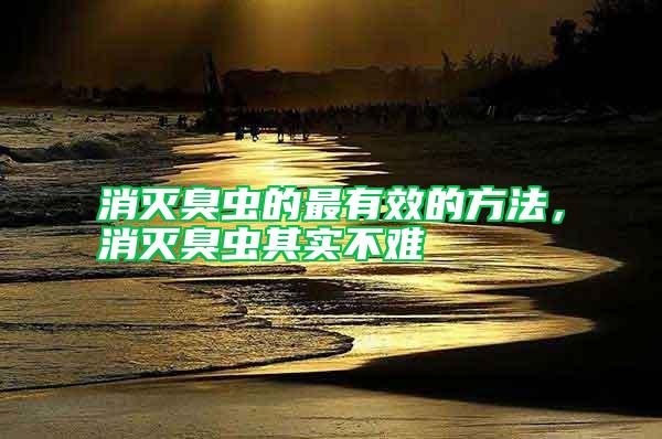 消滅臭蟲的最有效的方法，消滅臭蟲其實不難