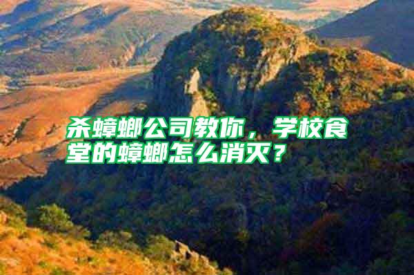 殺蟑螂公司教你，學(xué)校食堂的蟑螂怎么消滅？