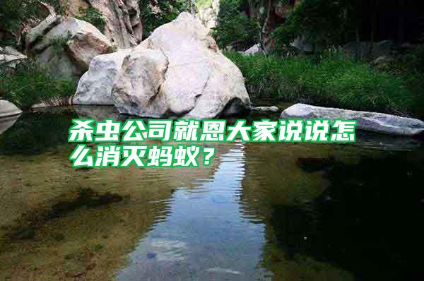 殺蟲公司就恩大家說說怎么消滅螞蟻？