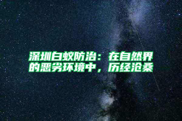深圳白蟻防治：在自然界的惡劣環境中，歷經滄桑