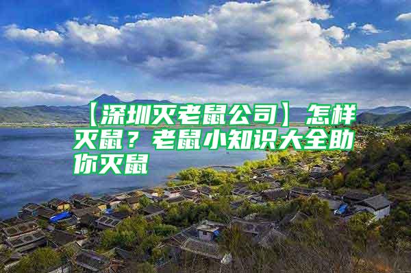 【深圳滅老鼠公司】怎樣滅鼠？老鼠小知識大全助你滅鼠