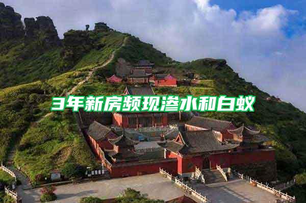 3年新房頻現(xiàn)滲水和白蟻