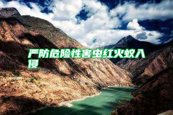 嚴(yán)防危險(xiǎn)性害蟲(chóng)紅火蟻入侵