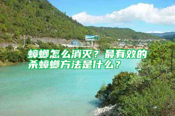 蟑螂怎么消滅？最有效的殺蟑螂方法是什么？