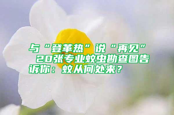與“登革熱”說“再見” 20張專業蚊蟲勘查圖告訴你：蚊從何處來？