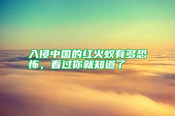 入侵中國的紅火蟻有多恐怖，看過你就知道了