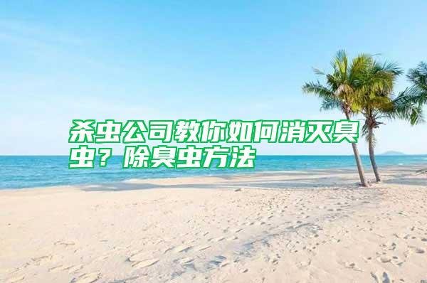 殺蟲公司教你如何消滅臭蟲？除臭蟲方法