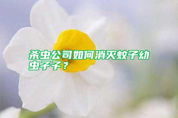 殺蟲公司如何消滅蚊子幼蟲孑孓？