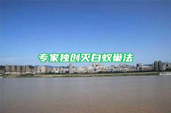專家獨創(chuàng)滅白蟻巢法