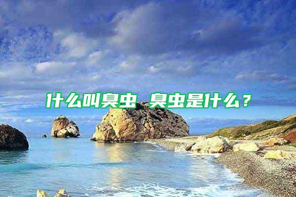 什么叫臭蟲 臭蟲是什么？