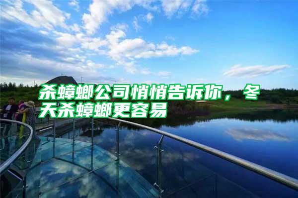 殺蟑螂公司悄悄告訴你，冬天殺蟑螂更容易