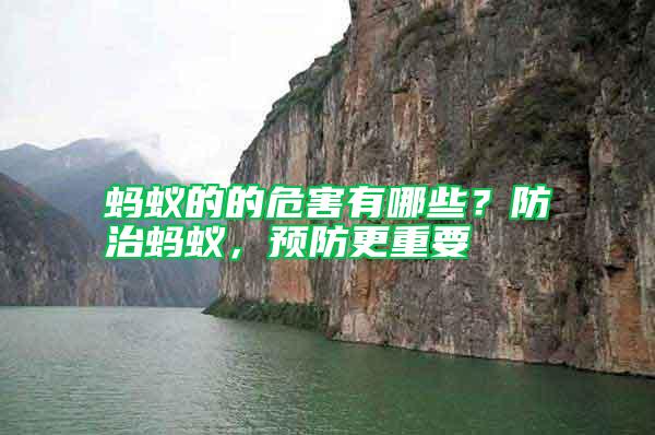 螞蟻的的危害有哪些？防治螞蟻，預(yù)防更重要