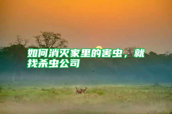 如何消滅家里的害蟲，就找殺蟲公司
