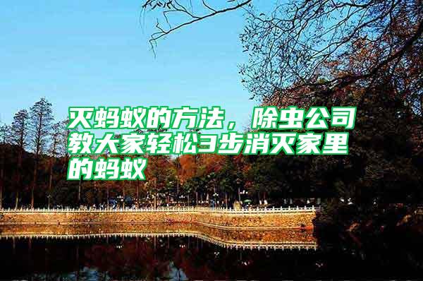 滅螞蟻的方法，除蟲(chóng)公司教大家輕松3步消滅家里的螞蟻