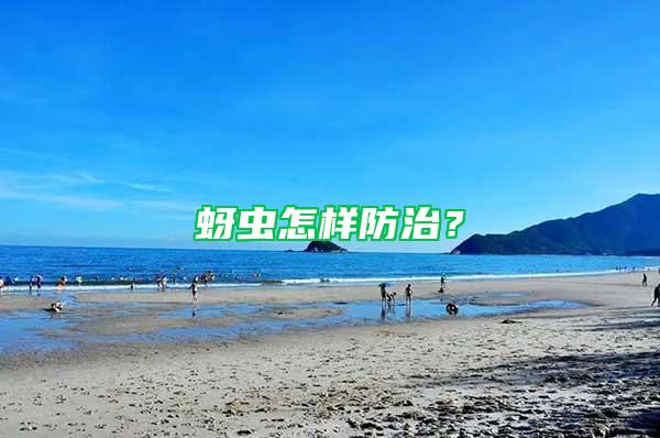 蚜蟲(chóng)怎樣防治？