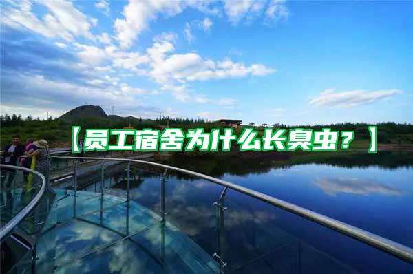 【員工宿舍為什么長臭蟲？】