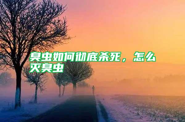 臭蟲(chóng)如何徹底殺死，怎么滅臭蟲(chóng)