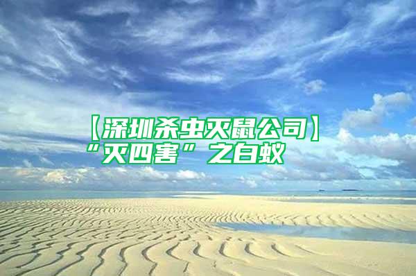【深圳殺蟲(chóng)滅鼠公司】“滅四害”之白蟻