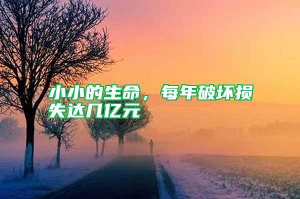 小小的生命，每年破壞損失達(dá)幾億元