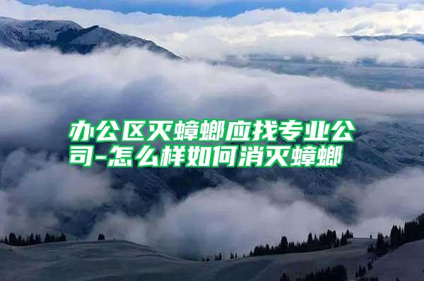 辦公區(qū)滅蟑螂應找專業(yè)公司-怎么樣如何消滅蟑螂
