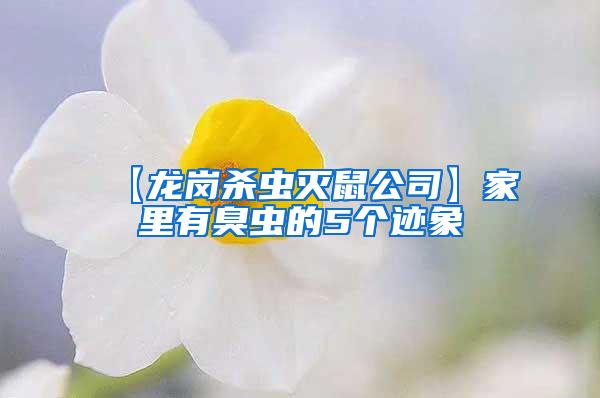 【龍崗殺蟲滅鼠公司】家里有臭蟲的5個(gè)跡象