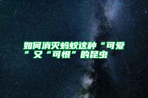 如何消滅螞蟻這種“可愛(ài)”又“可恨”的昆蟲(chóng)