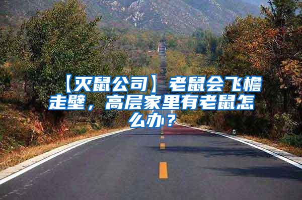【滅鼠公司】老鼠會飛檐走壁，高層家里有老鼠怎么辦？