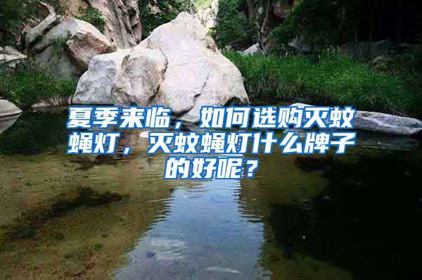 夏季來臨，如何選購(gòu)滅蚊蠅燈，滅蚊蠅燈什么牌子的好呢？