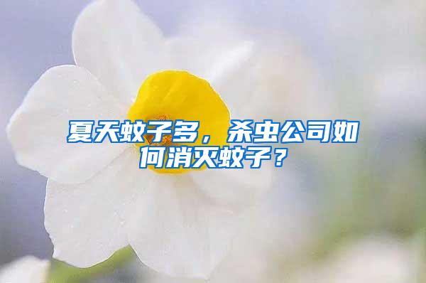夏天蚊子多，殺蟲公司如何消滅蚊子？